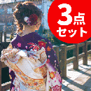 枚数限定、3枚セット組み合わせ自由、着物丸洗い【見積り無料】振袖,留袖,訪問着,付下,小紋