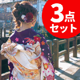 枚数限定、3枚セット組み合わせ自由、着物丸洗い【見積り無料】振袖,留袖,訪問着,付下,小紋