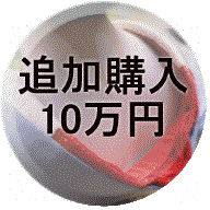 追加購入10万円