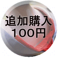 追加購入100円